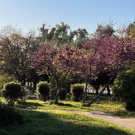 Lejlighed Sunny Athen